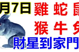 6月7日，生肖雞、蛇、鼠、猴、牛、兔！財星到家門！