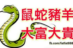 下半年，會成為搖錢樹，大富大貴的四大生肖！