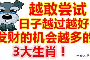 越敢嘗試，發財的機會越多的生肖，日子越過越好！
