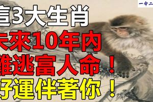 這3大生肖，未來10年內難逃富人命！好運伴著你！