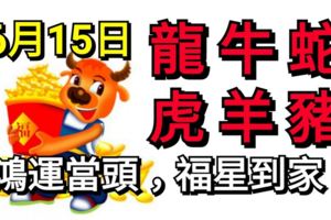 6月15日，生肖龍、牛、蛇、虎、羊、豬！鴻運當頭，福星到家！