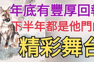 年底有豐厚回報的三大生肖，下半年都是他們的精彩舞台