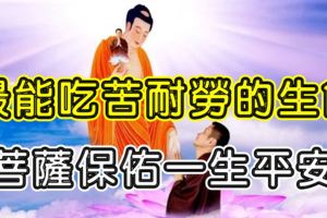 最能吃苦耐勞的四個生肖！菩薩保佑一生平安！