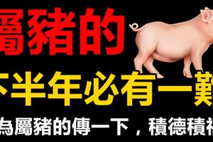 屬豬的人，下半年必有一難，請為屬豬的傳一下，積德積福！