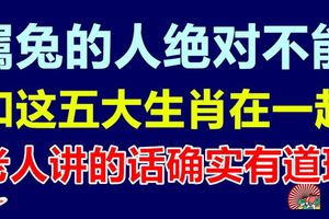 屬兔的人絕對不能和這五大生肖在一起，老人講的話確實有道理