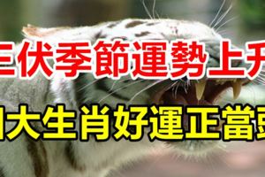 2017年三伏季節，運勢隨氣溫上升，四大生肖好運正當頭！
