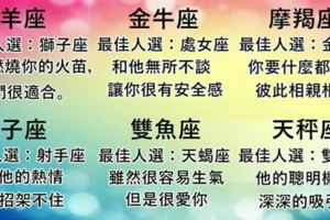 12星座與12星座cp最強最弱關係圖大揭秘！