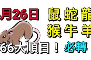 6月26日，鼠、蛇、龍、猴、牛、羊！大順日！