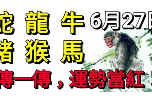 6月27日，生肖蛇、龍、牛、豬、猴、馬！運勢當紅！