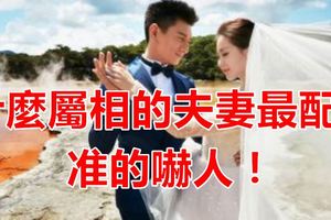 什麼屬相的夫妻最配？準的嚇人！