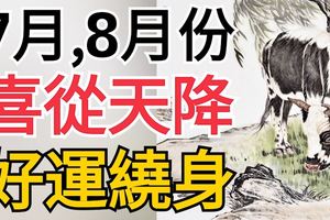 7月、8月份喜從天降，好運繞身的生肖屬相！