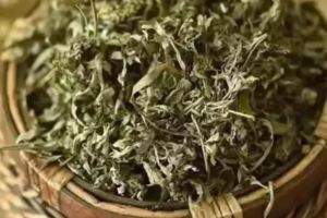 艾草加上它，每天泡一泡、外用，專治肩頸腰腿疼痛，三天見效，簡直神了！