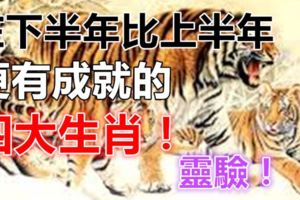 在下半年比上半年更有成就的四大生肖！