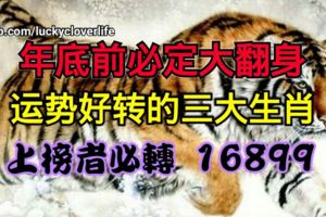 年底前必定大翻身，運勢好轉的三大生肖，上榜者必轉16899