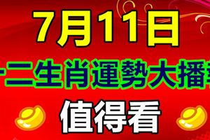 7月11日十二生肖運勢大播報，值得看