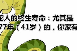 屬蛇人的終生壽命：尤其是1977年（41歲）的，你家有麼？