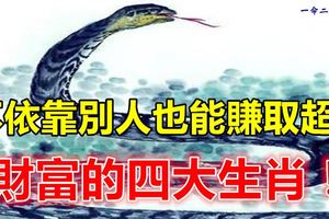 不依靠別人也能賺取超多財富的四大生肖！