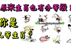 原來生肖也有分等級！你是幾等生肖？