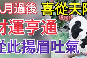 八月過後，這些生肖的朋友們會喜從天降財運亨通，從此揚眉吐氣