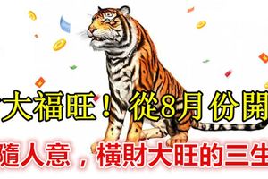 財大福旺！從8月份開始，天隨人意，橫財大旺的生肖