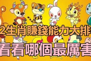 12生肖賺錢能力大排行，看看哪個最厲害！