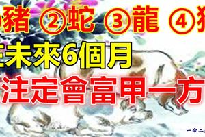 未來6個月註定會富甲一方的四大生肖！