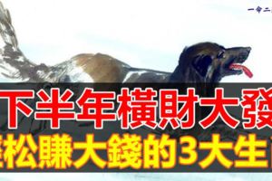 下半年橫財大發，輕松賺大錢的3大生肖