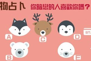 心理測試：挑選一個你喜歡的動物頭像，測測你暗戀的人喜歡你嗎