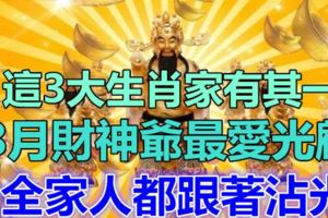 3大生肖家中有其一，8月財神爺最愛光顧，全家人都跟著沾光！