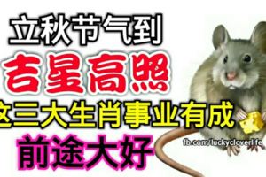 立秋節氣到，吉星高照，這三大生肖事業有成，前途大好