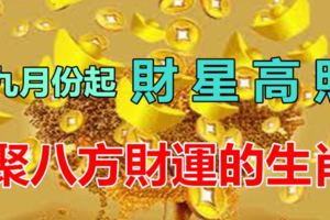 九月份起，財星高照，聚八方財運的幾個生肖！