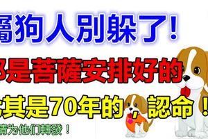 屬狗人別躲了，都是菩薩安排好的，尤其是70年的，認命！