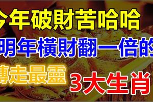 今年破財苦哈哈，明年橫財翻一倍的3大生肖！