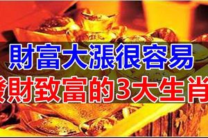 財富大漲很容易發財致富的3大生肖！
