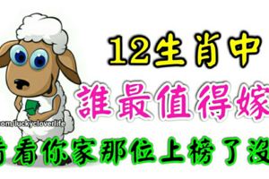 12生肖中誰最值得嫁？看看你家那位上榜了沒？