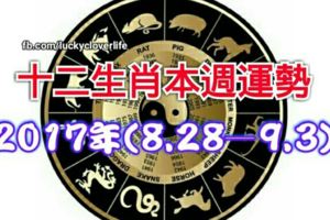 十二生肖本週運勢2017年(8.28—9.3)