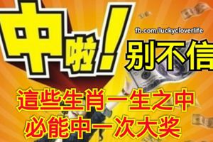 別不信這些生肖一生之中必能中一次大獎