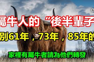 屬牛人的「後半輩子」，特別61年，73年，85年的！家裡有屬牛者請為他們轉發