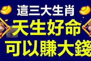 這三大生肖天生好命可以賺大錢！