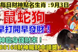 每日財神點名生肖：9月3日。鼠蛇狗。早打開早發財！財神臨身錢財來！9388168財神賜財中頭獎！