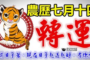農歷七月十四轉運，之前日子苦，現在日子越過越好，越過越旺的三大生肖，有你嗎？