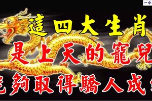 這四大生肖是上天的寵兒,能夠取得驕人成績