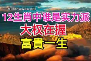 12生肖中誰是實力派，大權在握，富貴一生
