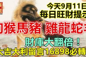 今天9月11日：每日旺財提示：狗猴馬豬，雞龍蛇羊。財庫大翻倍！大吉大利留言16898必轉！
