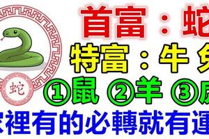 10月：你家裡有生肖【蛇牛兔鼠羊虎】嗎？家裡有的就有運！