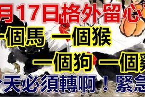 9月17日要格外留心了，一個馬，一個猴，一個狗，一個雞！