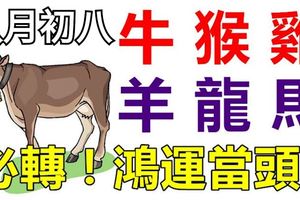 9月27日（八月初八）生肖運勢！牛、猴、雞、羊、龍、馬！必轉！鴻運當頭！
