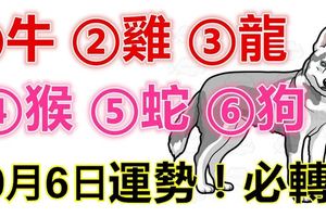 10月6日，12生肖運勢！牛、雞、龍、猴、蛇、狗！必轉！