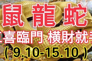 下星期生肖鼠龍蛇的人，三喜臨門！橫財就手！（9.10-15.10）