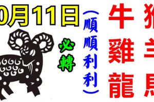 10月11日，生肖牛、猴、雞、羊、龍、馬！順順利利！